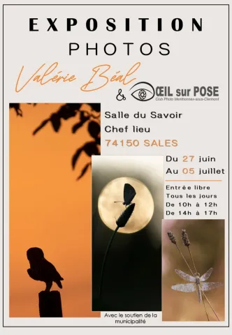 Oeil sur pose à  Sales 74